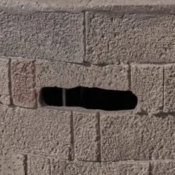 Dino Lightweight 31.75" Concrete Gas Fire Pit Brown - Christopher Knight Home -Christopher Knight Home GUEST 31ceb77a 7e3e 4dcf abaa 9d295f295963