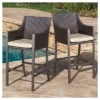 Riga Set Of 2 Bar Stool - Brown - Christopher Knight Home